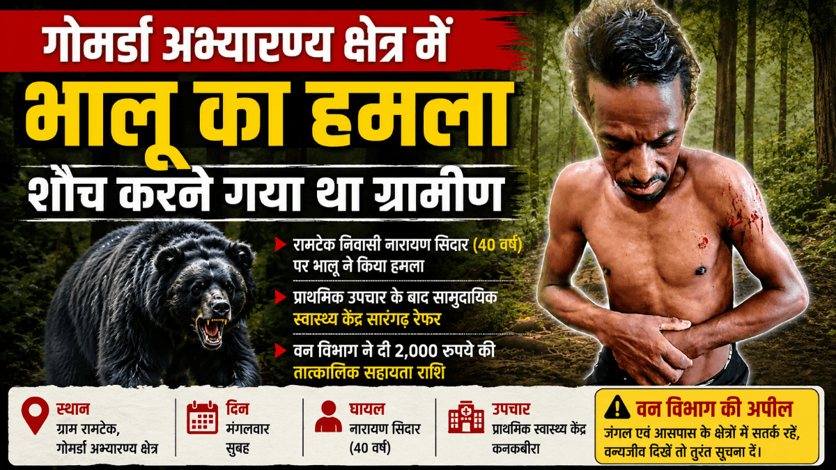Sarangarh News : गोमर्डा अभ्यारण्य में भालू का हमला: शौच के लिए निकले ग्रामीण पर जानलेवा हमला, गंभीर घायल