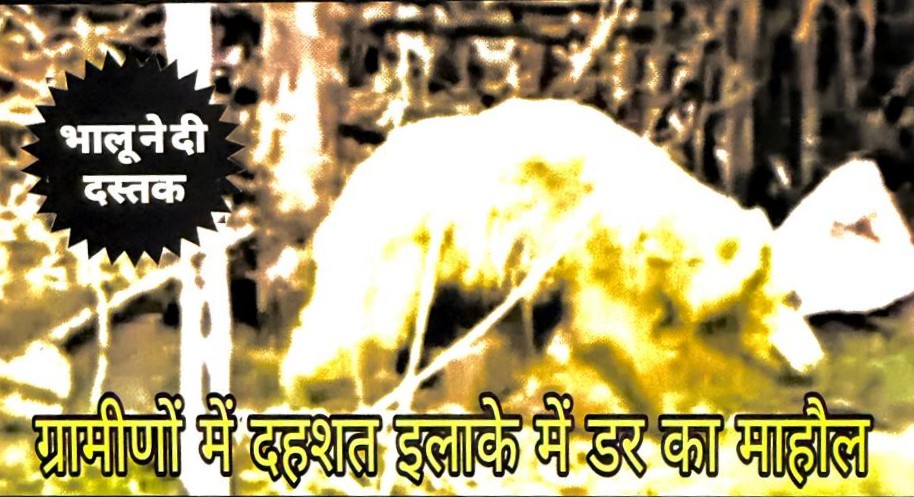 Marvaahi News : रायपुर/मरवाही: एल्बिनो भालू का अचानक हमला — ड्राइवर की दोनों बाहों पर गंभीर चोटें
