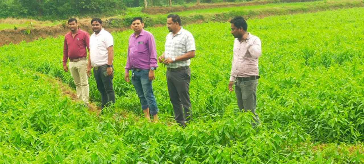 Sarangarh News: ग्राम परषापाली में जैविक खेती आवलोकन एवं कृषक प्रशिक्षणःB