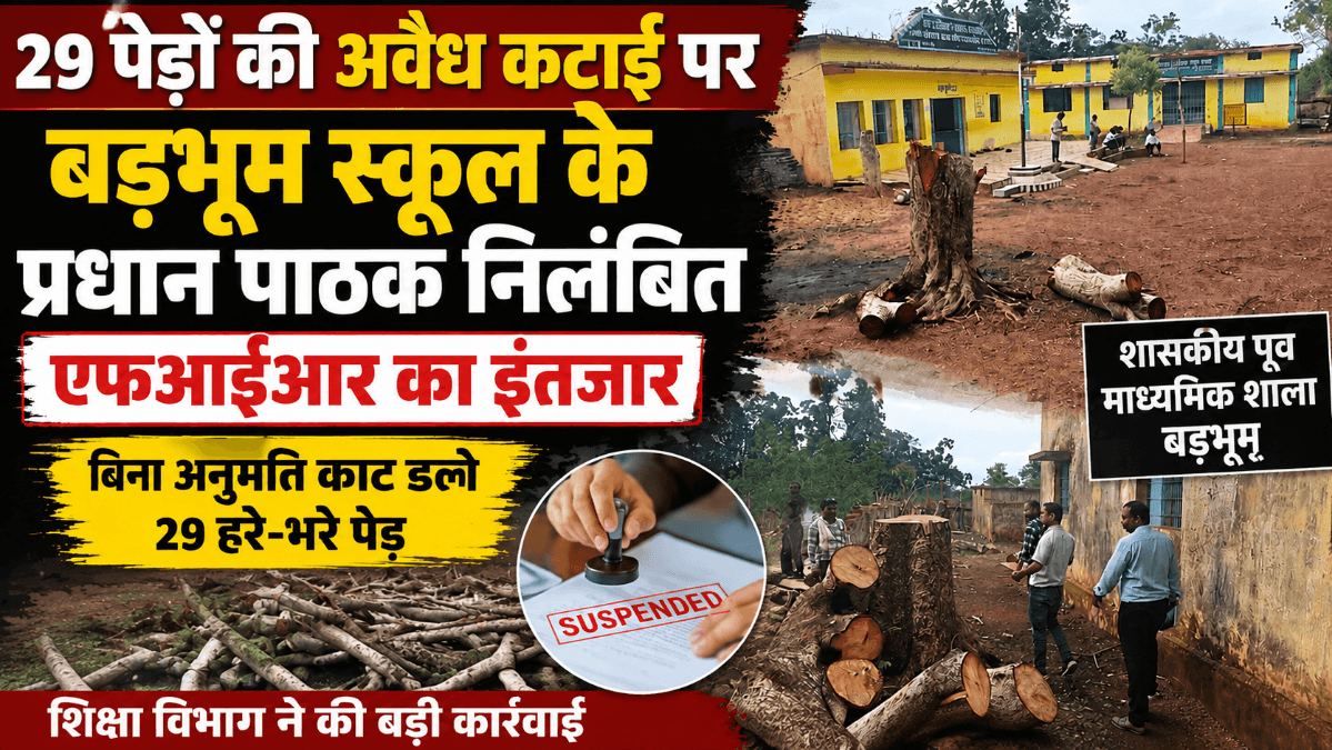 Balod News : बालोद: 29 पेड़ों की अवैध कटाई पर बड़भूम स्कूल के प्रधान पाठक निलंबित, एफआईआर का इंतजार